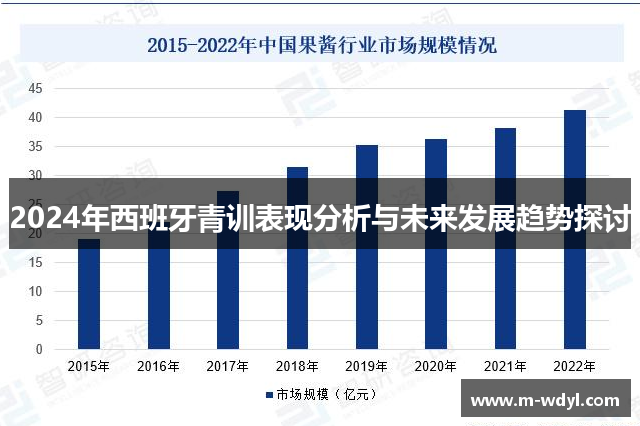 2024年西班牙青训表现分析与未来发展趋势探讨