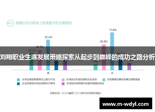 刘翔职业生涯发展策略探索从起步到巅峰的成功之路分析