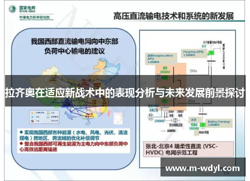 拉齐奥在适应新战术中的表现分析与未来发展前景探讨