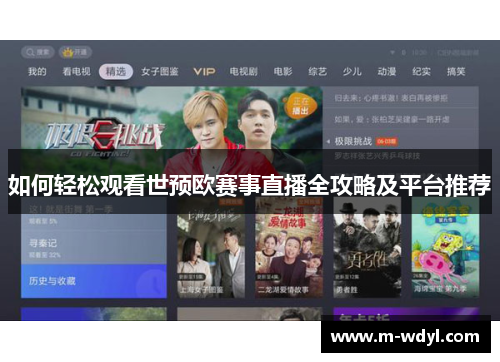 如何轻松观看世预欧赛事直播全攻略及平台推荐