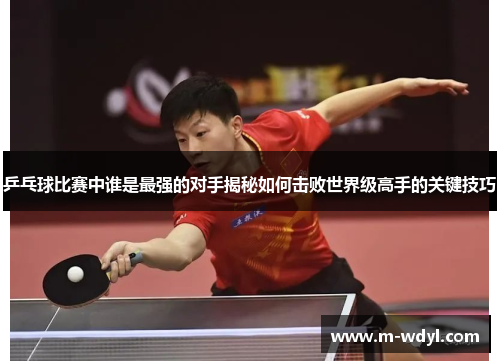 乒乓球比赛中谁是最强的对手揭秘如何击败世界级高手的关键技巧