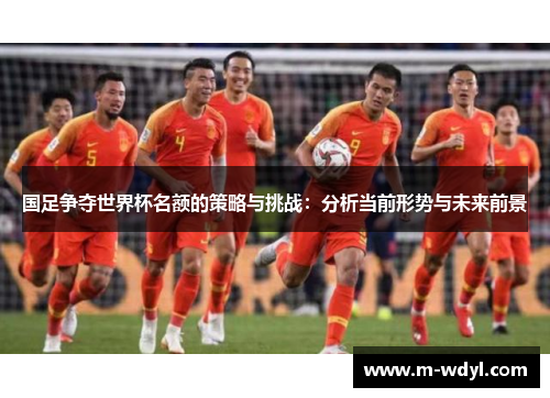 国足争夺世界杯名额的策略与挑战：分析当前形势与未来前景