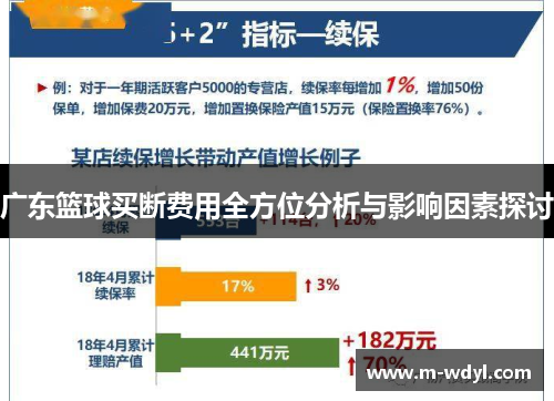 广东篮球买断费用全方位分析与影响因素探讨