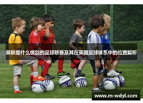 英联是什么级别的足球联赛及其在英国足球体系中的位置解析