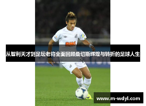 从智利天才到足坛老将全面回顾桑切斯辉煌与转折的足球人生