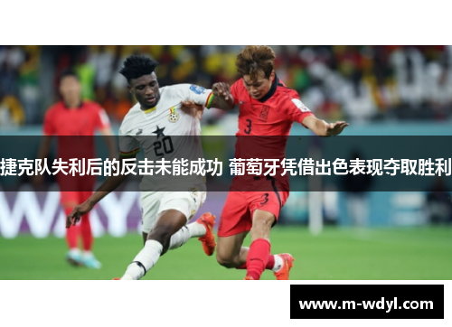 捷克队失利后的反击未能成功 葡萄牙凭借出色表现夺取胜利