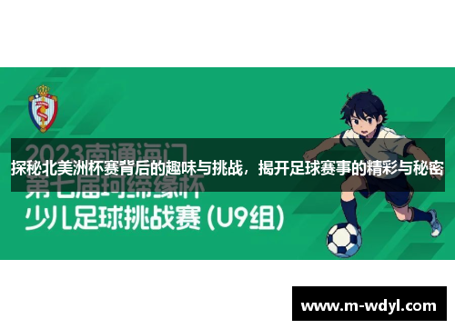 探秘北美洲杯赛背后的趣味与挑战，揭开足球赛事的精彩与秘密